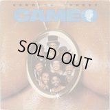 Cameo - Cardiac Arrest  LP