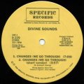 Divine Sounds - Changes/Do Or Die Bed Sty　12"