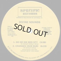 画像2: Divine Sounds - Changes/Do Or Die Bed Sty　12"