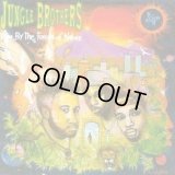 Jungle Brothers - Done By The Forces Of Nature  LP