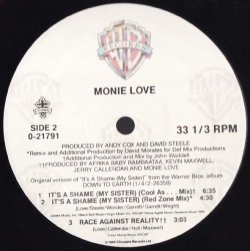 画像3: Monie Love - It's A Shame/Race Against Reality  12"