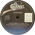 Tawatha - Are You Serious ?/Love Goes Higher  12"