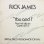 画像1: Rick James - You And I  12" (1)