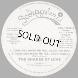 画像2: The Shades Of Love - Come And Make Me Feel Good (Remix)  12"