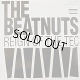 The Beatnuts - Reign Of The Tec  12"