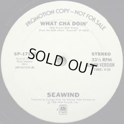 画像2: Seawind - What Cha Doin'  12"