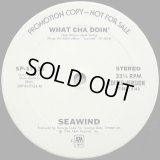 Seawind - What Cha Doin'  12"