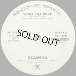 画像1: Seawind - What Cha Doin'  12"