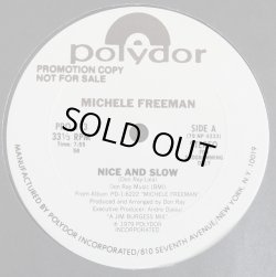 画像1: Michele Freeman - Nice And Slow/Try My Loving  12" 