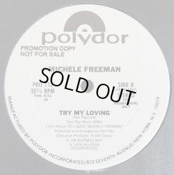 画像2: Michele Freeman - Nice And Slow/Try My Loving  12" 