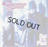 Common Sense - Soul By The Pound/Can-I-Bust/Heidi Hoe  12" 