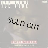 Ice Cube - Check Yo Self/It Was A Good Day/24 With A L  12"