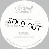 Edwin Birdsong - Funtaztik/Win Tonight  12" 