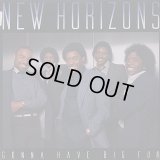 New Horizons - Gonna Have Big Fun  LP 