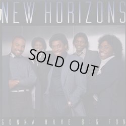 画像1: New Horizons - Gonna Have Big Fun  LP 