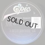 Tony Terry - She's Fly  12" 