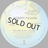 Robert Palmer - You Are In My System  12"