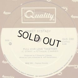 画像1: Sweet Ecstasy - Pull Our Love Together/Jam Party  12" 