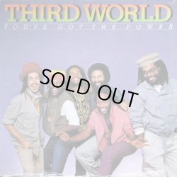 画像1: Third World - You've Got The Power  LP