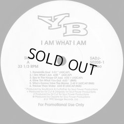 画像1: YB - I Am What I Am  LP