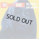 Big Daddy Kane - Very Special/Stop Shammin'   12"