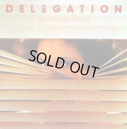 画像1: Delegation - The Promise Of Love  LP