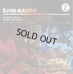 画像1: DJ Nu-Mark (Feat:Bumpy Knuckles/Large Professor) - Broken Sunlight Series 1  10"