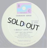 Common Sense - I Really Love You (Just Can't Help Myself)  12"  