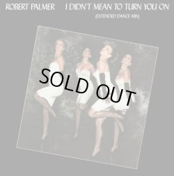 画像1: Robert Palmer - I Didn't Mean To Turn You On/Addicted To Love 12"
