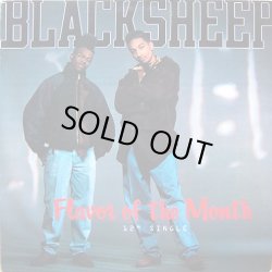 画像1: Black Sheep - Flavor Of The Month/Butt... In The Meantime  12"