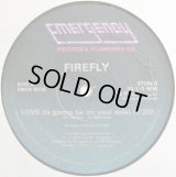 Firefly - Love (Is Gonna Be On Your Side)/Forget It  12"