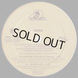 Tamia - So Into You/Falling For You  12"