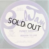 Reason To Live - Funky Groove  12"