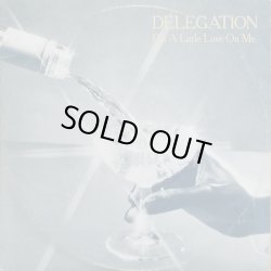 画像1: Delegation - Put A Little Love On Me/Welcome To My World  12"