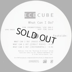 画像3: Ice Cube - What Can I Do？12"  