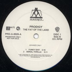 画像2: Prodigy - The Fat Of The Land  2LP