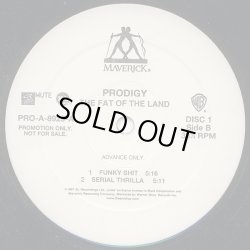 画像2: Prodigy - The Fat Of The Land  2LP