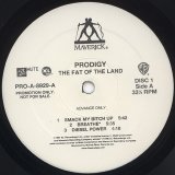 Prodigy - The Fat Of The Land  2LP