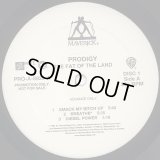 Prodigy - The Fat Of The Land  2LP