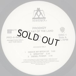 画像1: Prodigy - The Fat Of The Land  2LP