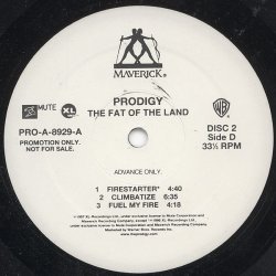 画像4: Prodigy - The Fat Of The Land  2LP