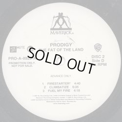 画像4: Prodigy - The Fat Of The Land  2LP