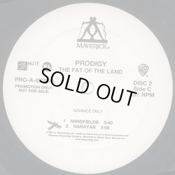 画像3: Prodigy - The Fat Of The Land  2LP
