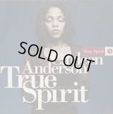 Carleen Anderson - True Spirit  12"