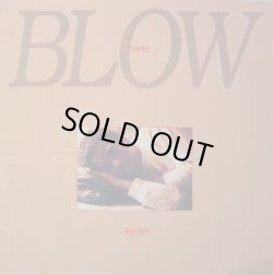 画像1: Kurtis Blow - Ego-Trip  LP