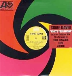 画像1: Craig David - What's Your Flava ? 12"X2