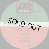 Narada Michael Walden - Summer Lady  12"