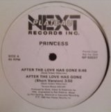 Princess - After The Love Has Gone  12"