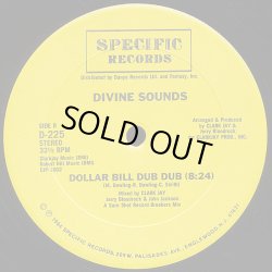 画像2: Divine Sounds - What People Do For Money/Dollar Bill Dub Dub  12"