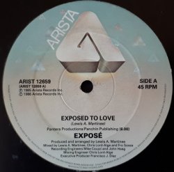 画像1: Exposé - Exposed To Love  12"